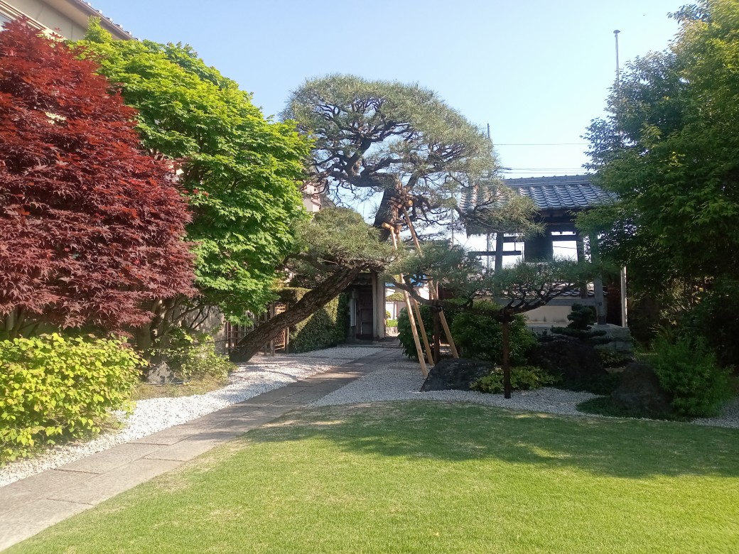 庭には四季の花々が咲きます